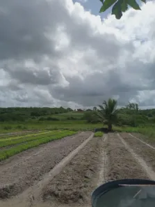 Fazenda / Sítio / Chácara com 2 Quartos à venda, 9000m² no , Vera Cruz
