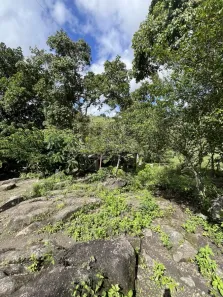 Fazenda / Sítio / Chácara à venda, 31000m² no , Joaquim Gomes