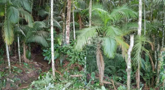 Terreno / Lote / Condomínio à venda, 18000m² no Carmelo, São João Batista