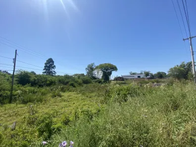 Terreno / Lote / Condomínio para venda ou aluguel, 8790m² no Lorenzi, Santa Maria