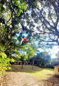 Fazenda / Sítio / Chácara com 4 Quartos à venda, 420m² no , Brasília
