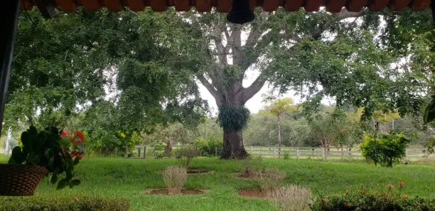 Fazenda / Sítio / Chácara à venda, 690m² no , Padre Bernardo