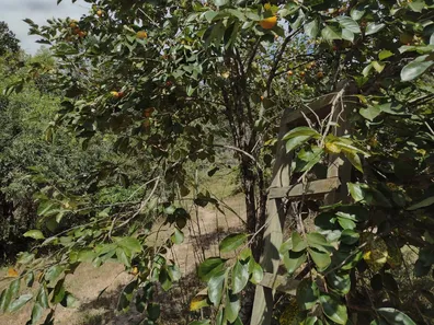 Terreno / Lote / Condomínio à venda, 20000m² no , Fortuna de Minas