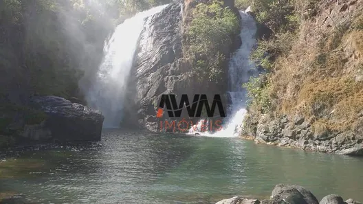 Fazenda / Sítio / Chácara à venda, 48400000m² no Área Rural de Gurupi, Gurupi