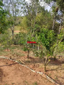 Fazenda / Sítio / Chácara com 2 Quartos à venda, 754m² no Jardim Colônia, Jacareí