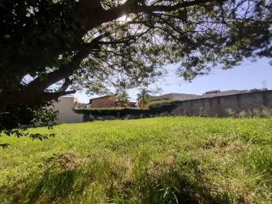 Terreno / Lote / Condomínio para alugar, 371m² no Alto da Boa Vista, Ribeirão Preto