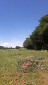 Fazenda / Sítio / Chácara com 1 Quarto à venda, 10000m² no , Brasília