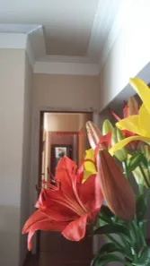 Casa com 1 Quarto à venda, 180m² no Parque Manoel de Vasconcelos, Sumaré