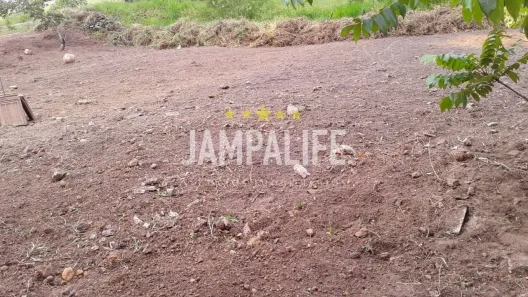 Terreno / Lote / Condomínio à venda, 609m² no Chã do Lindolfo, Bananeiras