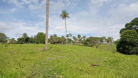 Fazenda / Sítio / Chácara à venda, 280000m² no Setor Bosque, Formosa