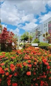 Apartamento com 3 Quartos à venda, 60m² no COHAB, Recife