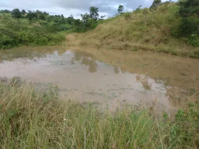 Fazenda / Sítio / Chácara com 7 Quartos à venda, 240000m² no Matriz, Vitória de Santo Antão