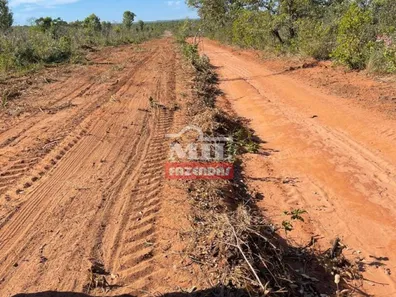 Fazenda / Sítio / Chácara à venda, 13000m² no , Ponte Alta do Tocantins