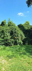 Terreno / Lote / Condomínio à venda, 49839m² no Tribobó, São Gonçalo