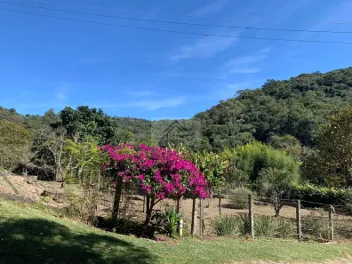 Fazenda / Sítio / Chácara com 3 Quartos à venda, 240000m² no Centro, Bom Jesus dos Perdões