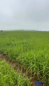 Terreno / Lote / Condomínio à venda, 64m² no Centro, Goianésia