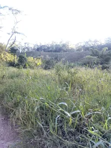 Fazenda / Sítio / Chácara com 1 Quarto à venda, 4000m² no Área Rural de Viçosa, Viçosa
