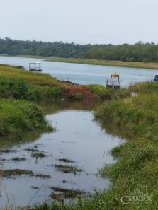Fazenda / Sítio / Chácara com 2 Quartos à venda, 150m² no Alvorada do Sul, Alvorada do Sul