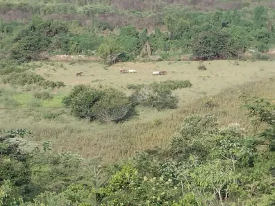 Fazenda / Sítio / Chácara com 1 Quarto à venda, 90m² no , Redenção da Serra