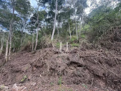 Terreno / Lote / Condomínio à venda, 772m² no Pedro do Rio, Petrópolis