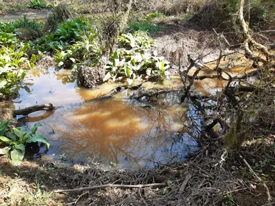 Fazenda / Sítio / Chácara com 3 Quartos à venda, 6000m² no , Contenda