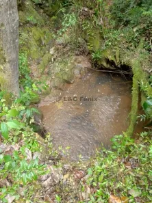 Fazenda / Sítio / Chácara com 2 Quartos à venda, 100m² no Centro, Rio Branco do Sul