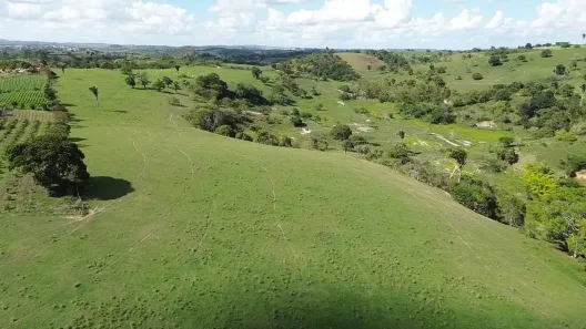 Fazenda / Sítio / Chácara à venda, 360000m² no , Sairé