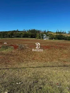 Terreno / Lote / Condomínio à venda, 1470m² no Rodovia, 