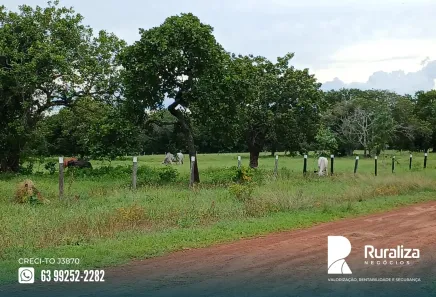 Fazenda / Sítio / Chácara à venda, 1950m² no , Paraíso do Tocantins