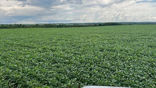 Fazenda / Sítio / Chácara com 7 Quartos à venda, 503m² no , Santa Maria do Tocantins