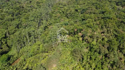 Fazenda / Sítio / Chácara com 1 Quarto à venda, 20100m² no Centro, Massaranduba