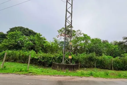 Terreno / Lote Comercial à venda, 356000m² no Colônia Antônio Aleixo, Manaus