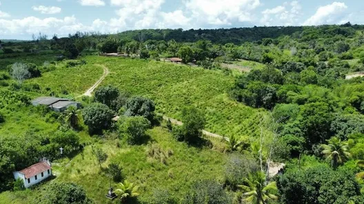 Fazenda / Sítio / Chácara à venda, 160000m² no Centro, Conde