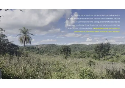 com 1 Quarto à venda, 20000m² no , Taquaraçu de Minas