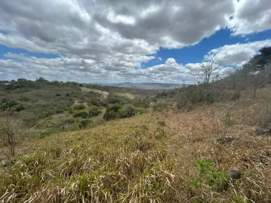 Fazenda / Sítio / Chácara com 2 Quartos à venda, 20000m² no , Sairé