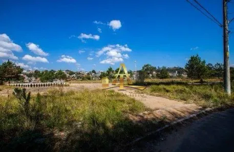 Terreno / Lote Comercial à venda, 46480m² no Estância São Francisco, Itapevi