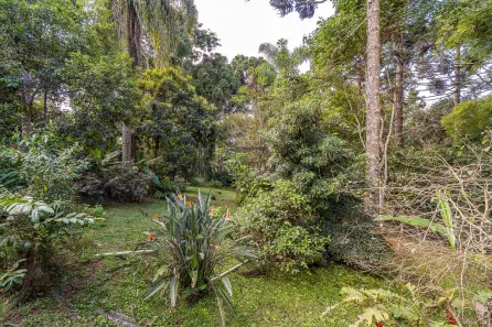 Fazenda / Sítio / Chácara com 3 Quartos à venda, 100m² no Parque das Nascentes, Pinhais