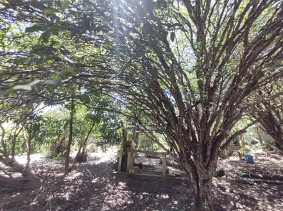 Fazenda / Sítio / Chácara com 6 Quartos à venda, 411m² no Pau D'Alhinho, Piracicaba