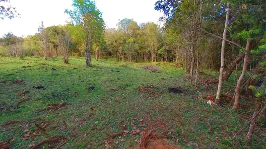 Fazenda / Sítio / Chácara à venda, 32800m² no , Tijucas do Sul
