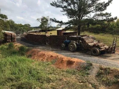 Fazenda / Sítio / Chácara à venda, 91960m² no , Pilar do Sul