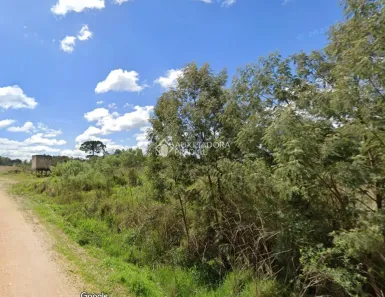 Terreno / Lote / Condomínio à venda, 2000m² no Balsa Nova, Balsa Nova