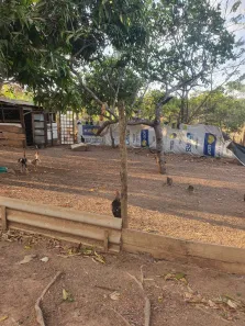 Fazenda / Sítio / Chácara com 2 Quartos à venda, 10000m² no , Brasília