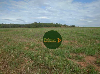 Fazenda / Sítio / Chácara à venda, 15972000m² no Área Rural de Gurupi, Gurupi