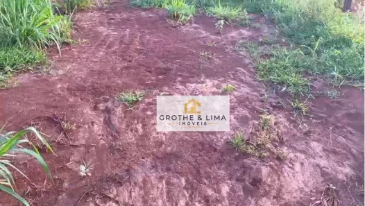 Fazenda / Sítio / Chácara com 5 Quartos à venda, 800m² no Padre Bernardo, Padre Bernardo