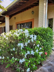 Fazenda / Sítio / Chácara com 3 Quartos à venda, 150m² no Centro, Águas de São Pedro