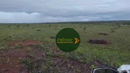 Fazenda / Sítio / Chácara à venda, 17151750m² no , Ponte Alta do Tocantins