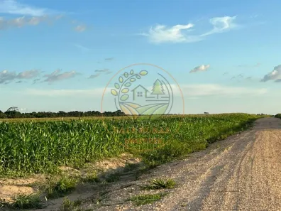 Fazenda / Sítio / Chácara com 6 Quartos à venda, 834m² no CENTRO, Lagoa da Confusão