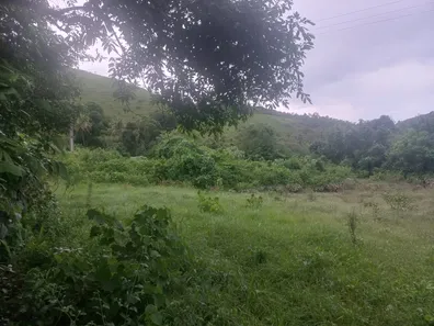Fazenda / Sítio / Chácara à venda, 110000m² no Papucaia, Cachoeiras de Macacu