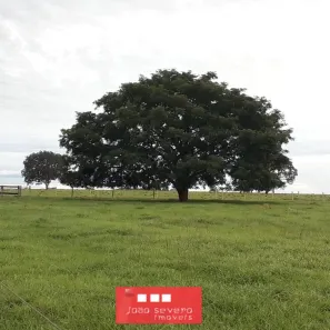 Fazenda / Sítio / Chácara à venda, 22651200m² no Setor Central, Divinópolis do Tocantins