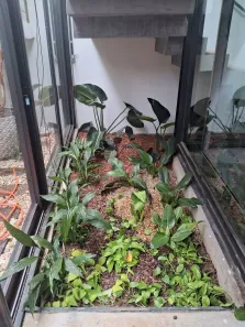 Prédio Inteiro para alugar, 372m² no Marchi, Itupeva